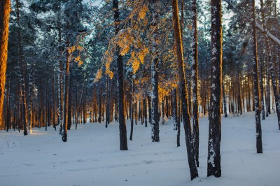 DSC_9267.jpg
