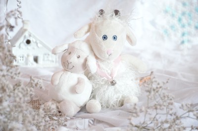 DSC_1393 (2).jpg