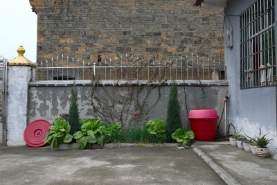 DSC_1079.jpg