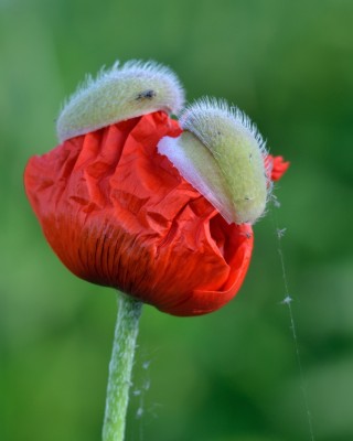 DSC_3079_2.jpg