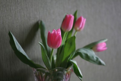IMG_9585.jpg