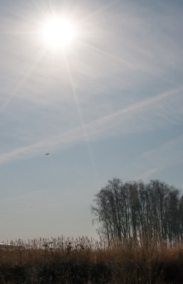 DSC_6247-copy.jpg