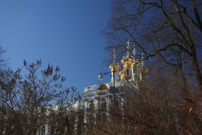 IMG_9938.jpg
