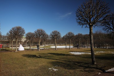IMG_9954.jpg