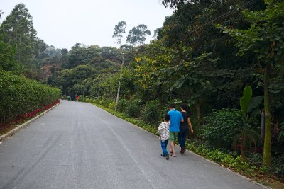 DSC_1493.jpg