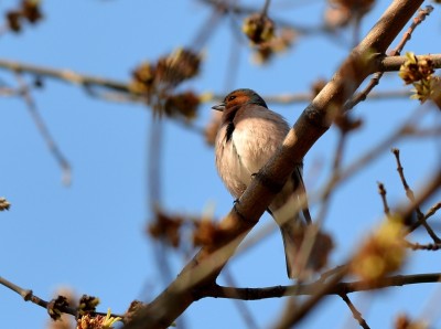 DSC_9495.JPG