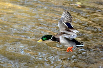 DSC_9542.JPG