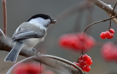 DSC_0787_1.jpg