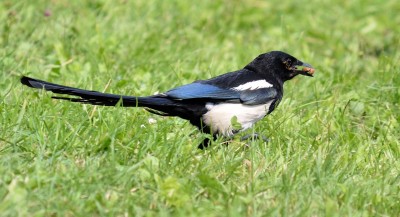 DSC_3310_1.jpg