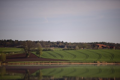 Rothsee 2.jpg