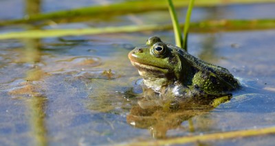 DSC_0169_1.jpg