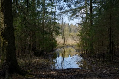 l50-spring.jpg