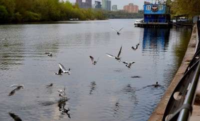 DSC_0267.JPG