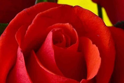 0_13e9aa_ae793c6e_origФШ_crop.jpg