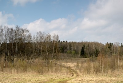 j-spring4.jpg