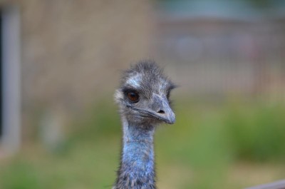 DSC_2573.jpg