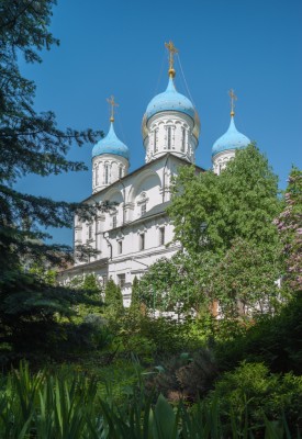 DSC_9673.jpg