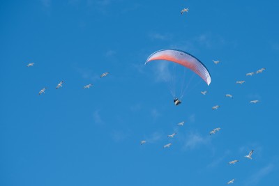 DSC_56995699.JPG