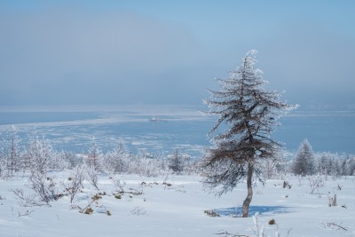 DSC_39283928.JPG