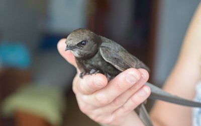 DSC_7069 копия2.jpg