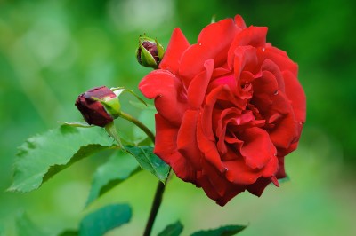 DSC_0263-м.jpg