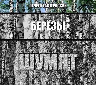 romZlTQ06SE.jpg