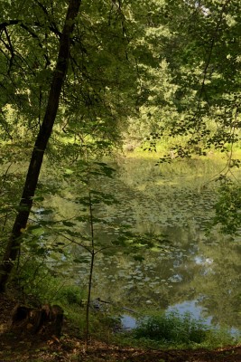 clunnikoncolor11.jpg