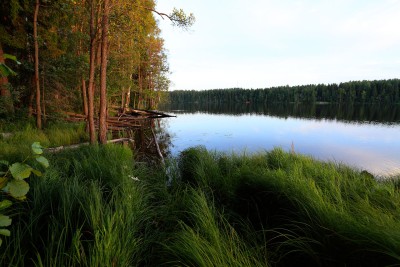 IMG_2436.jpg