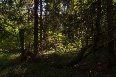 Composition-landscape02.jpg