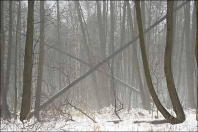 Composition-landscape03.jpg