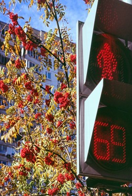 20131006_DxOVP.jpg