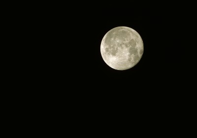 DSC_4031.jpg