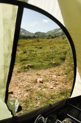 DSC_0218.jpg
