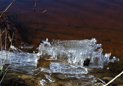 DSC_1661.jpg