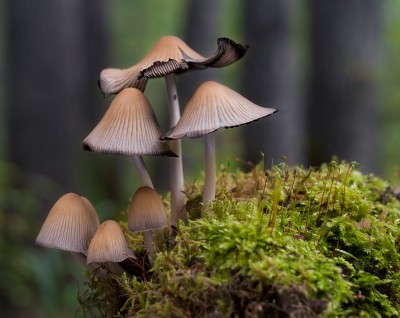 DSC_5882.jpg