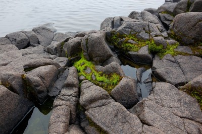 DSC_0982.jpg