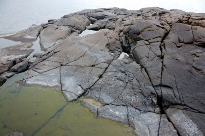 DSC_0985.jpg