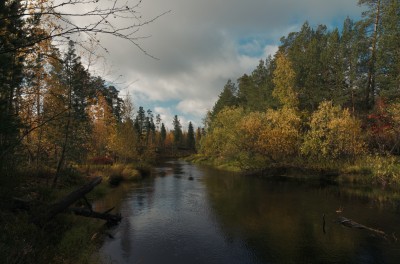 DSC_0267.jpg