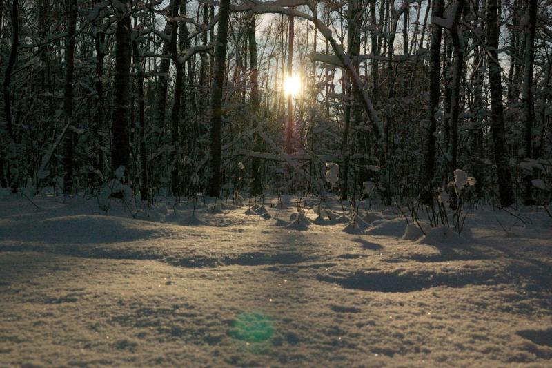 DSC_0434.jpg
