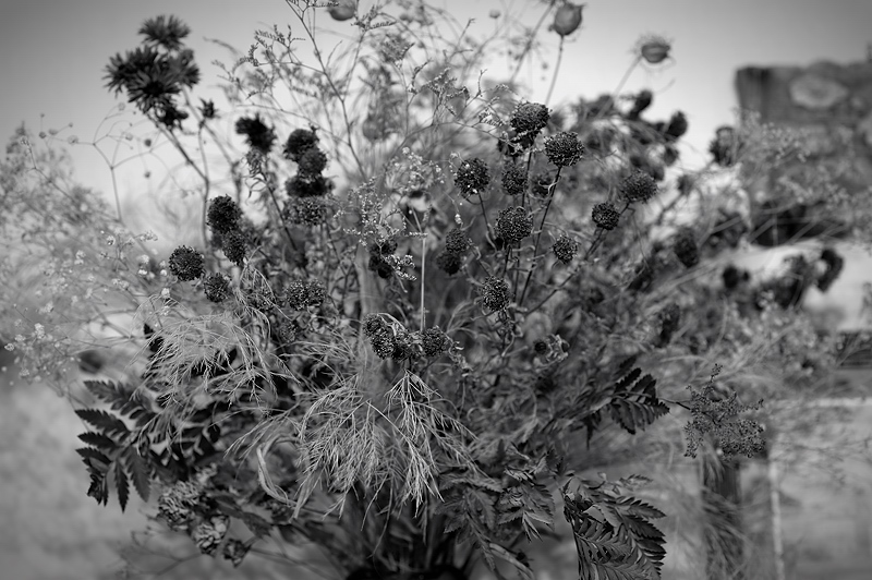 100106_023.jpg