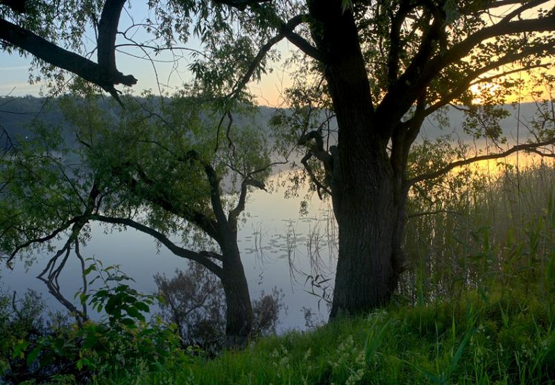 Untitled_HDR.jpg