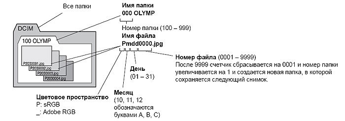 r.jpg