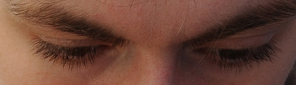 DSC_0860crop.jpg