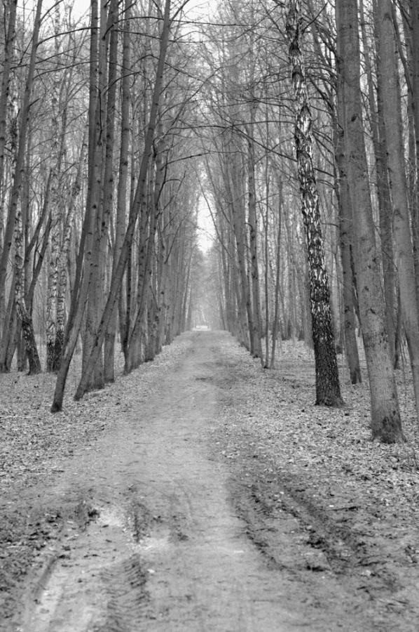 _DSC00717171.jpg