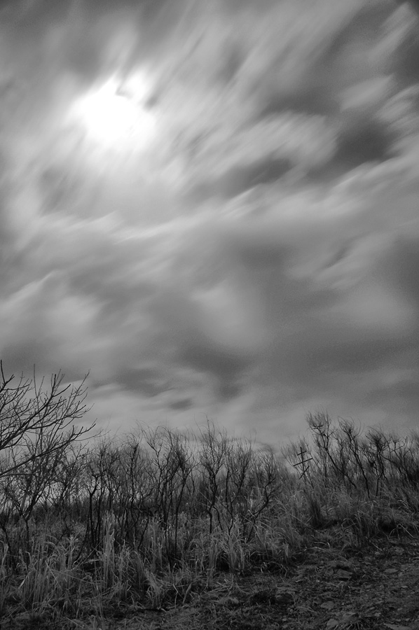 DSC_0040_small.jpg