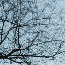869699crop2.jpg