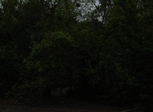 DSC_5771.jpg