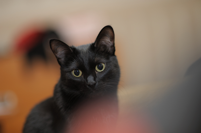 DSC_0999.jpg