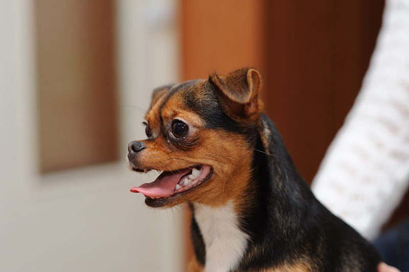 DSC_2476_1.jpg