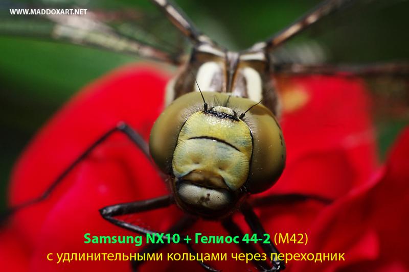 SAM_0820_сn.jpg